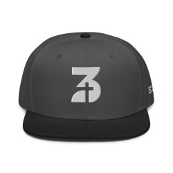 Embroidered Snapback (Dark Gray/Black)